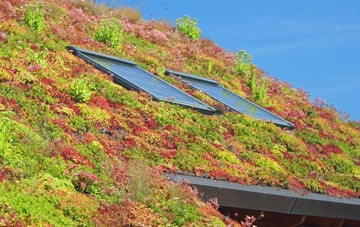 Twycross living roof systems