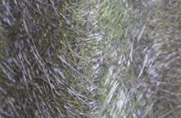 Twycross fibreglass roof work